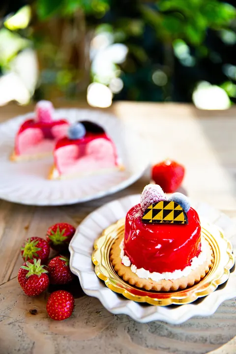 Monoporzione ai frutti rossi della pasticceria Tomasi 1980